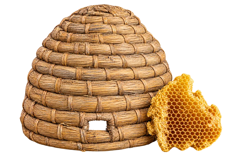 Traditional woven straw beehive skep beside a piece of natural comb